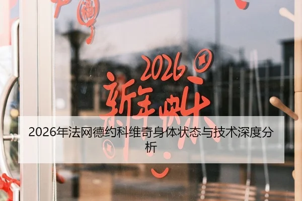 2026年法网德约科维奇身体状态与技术深度分析