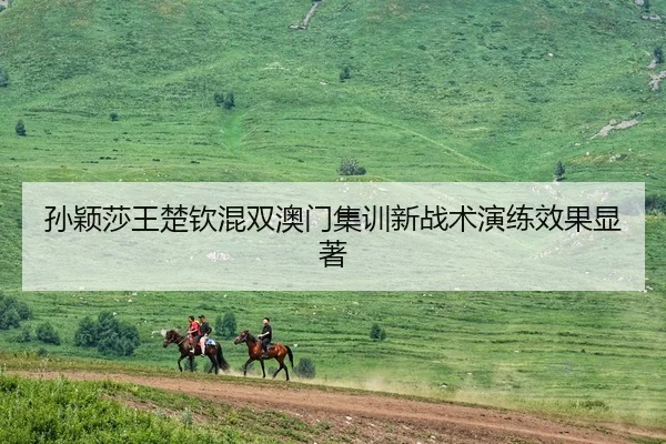 孙颖莎王楚钦混双澳门集训新战术演练效果显著