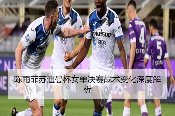陈雨菲苏迪曼杯女单决赛战术变化深度解析
