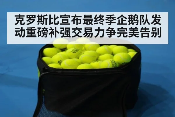 克罗斯比宣布最终季企鹅队发动重磅补强交易力争完美告别